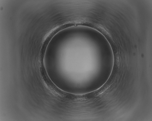 X0000071760536200606301133