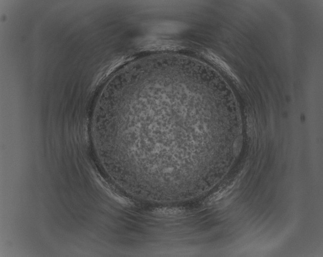 X0000071760537200606301133