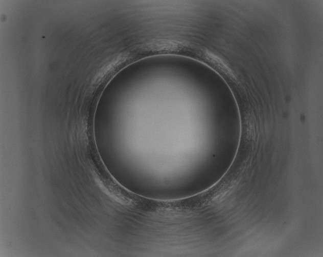 X0000071760538200606301133