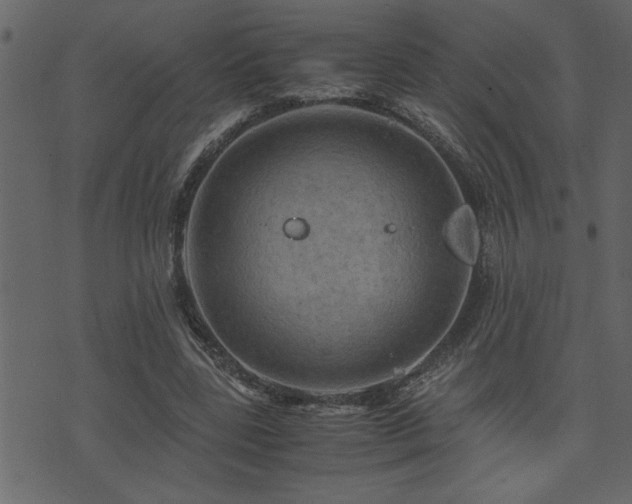 X0000071760539200606301133