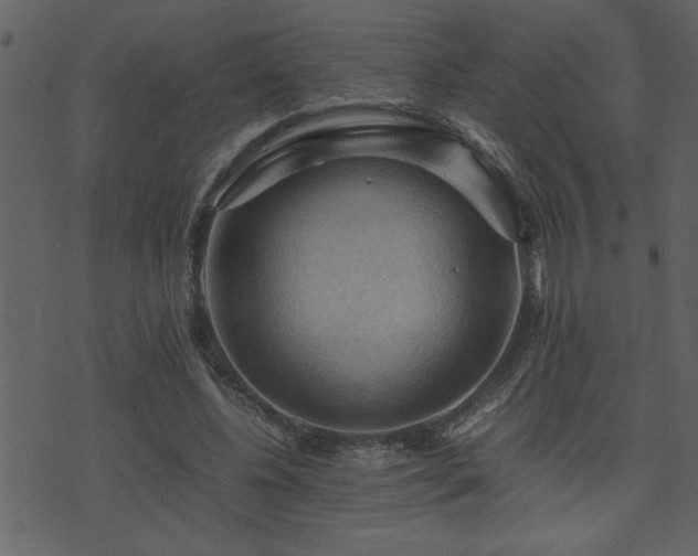 X0000071760540200606301133