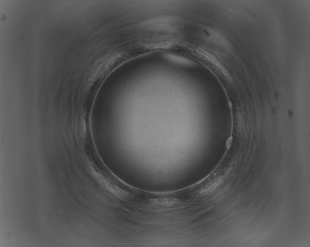 X0000071760541200606301133