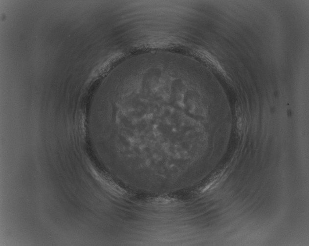 X0000071760542200606301133