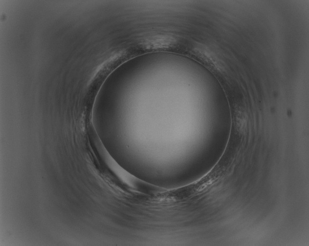 X0000071760543200606301133