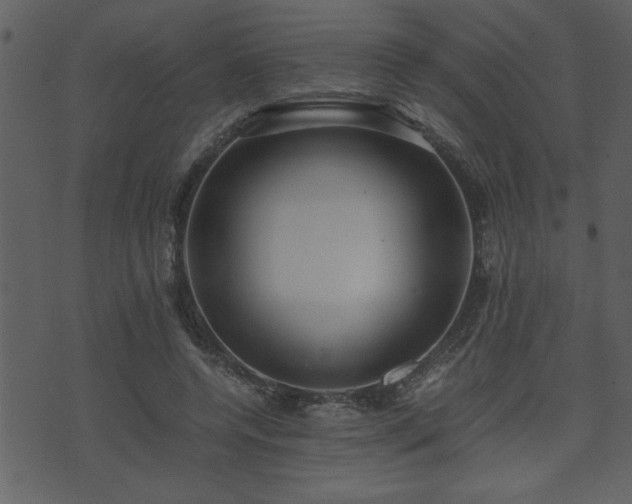 X0000071760544200606301133