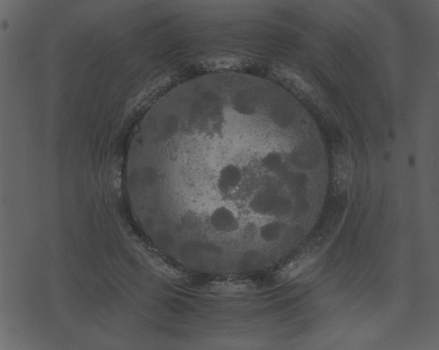 X0000071760545200606301133