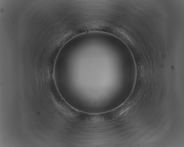 X0000071760546200606301133