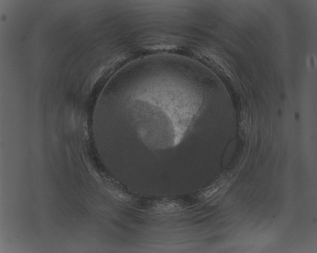 X0000071760547200606301133