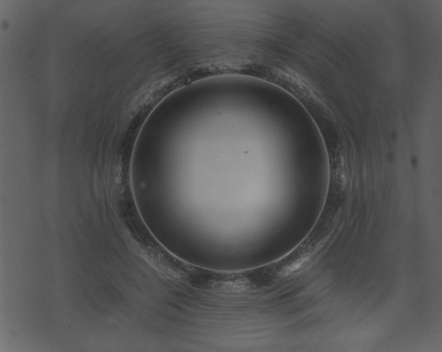 X0000071760548200606301133