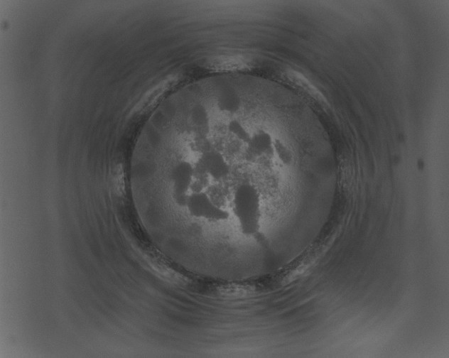 X0000071760549200606301133