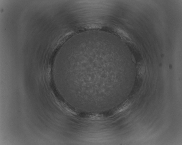 X0000071760550200606301133