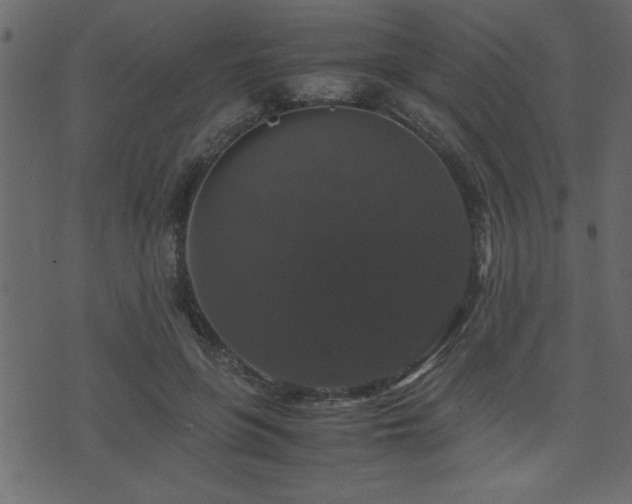 X0000071760551200606301133