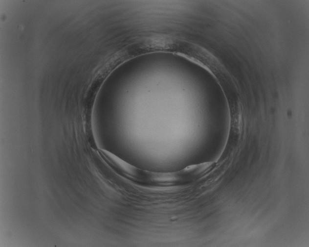 X0000071760552200606301133