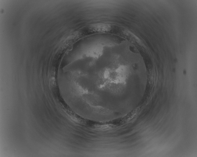 X0000071760553200606301133