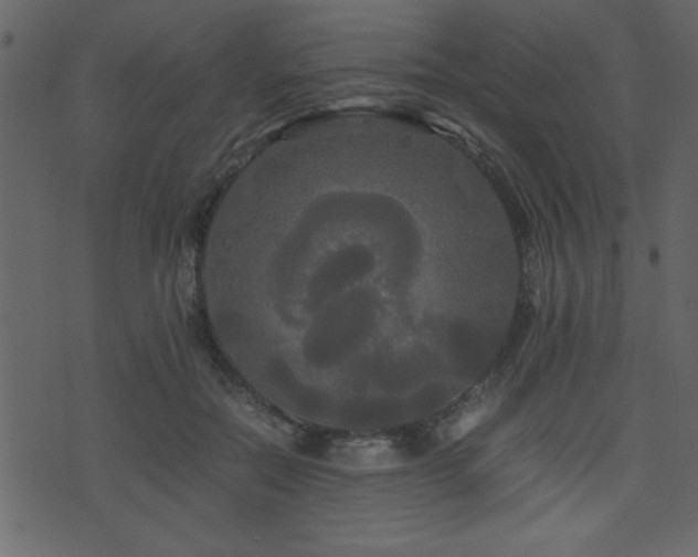 X0000071760554200606301133