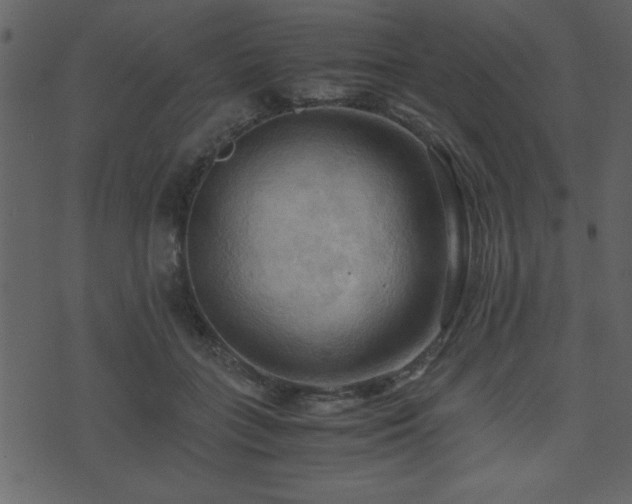 X0000071760555200606301133