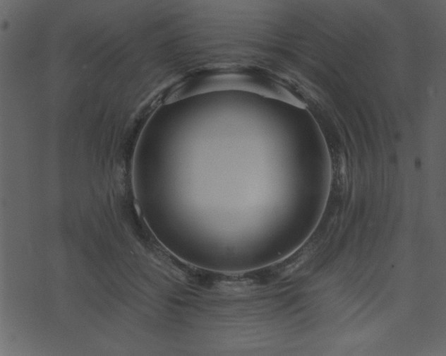 X0000071760556200606301133