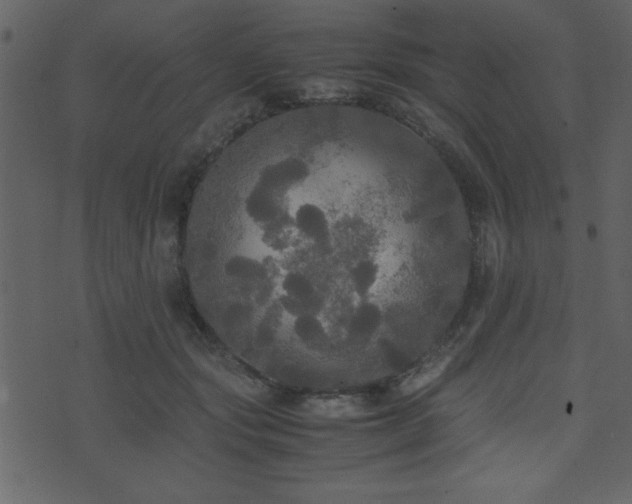 X0000071760557200606301133