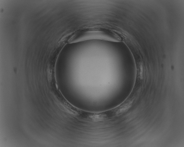 X0000071760558200606301133