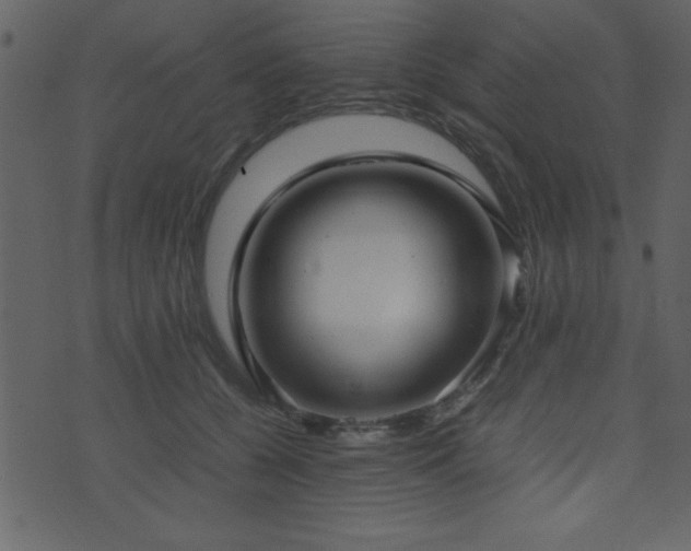 X0000071760560200606301133