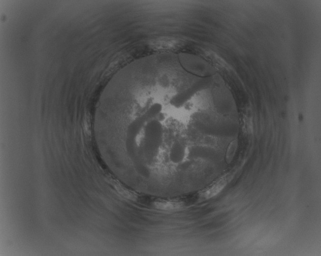 X0000071760561200606301133