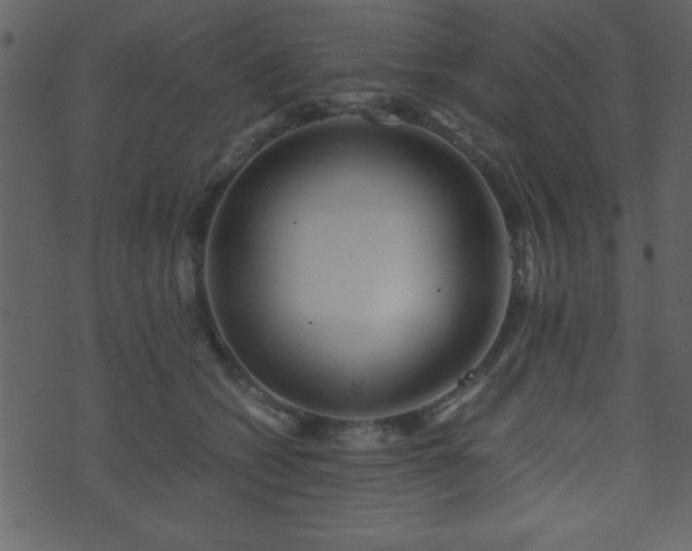 X0000071760562200606301133