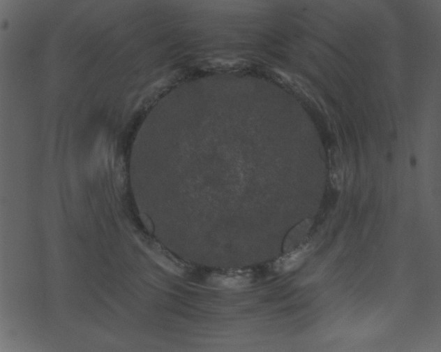 X0000071760563200606301133