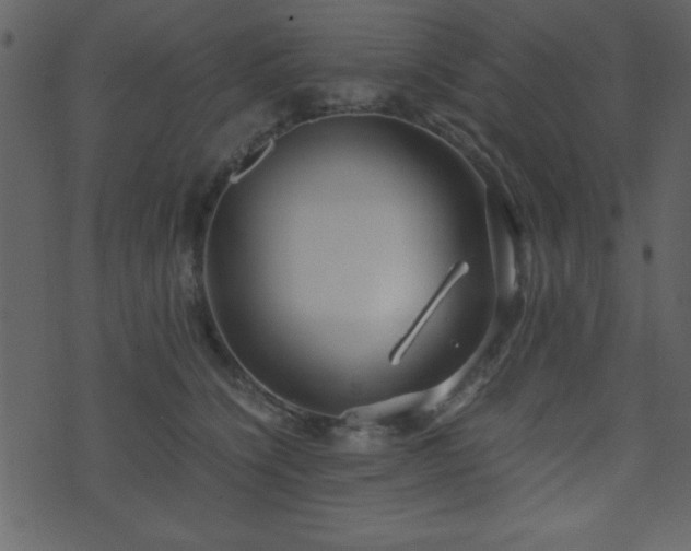 X0000071760564200606301133