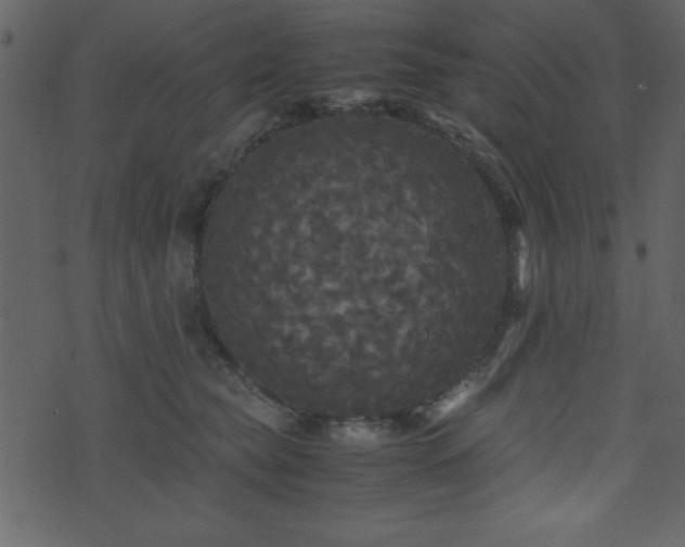 X0000071760565200606301133