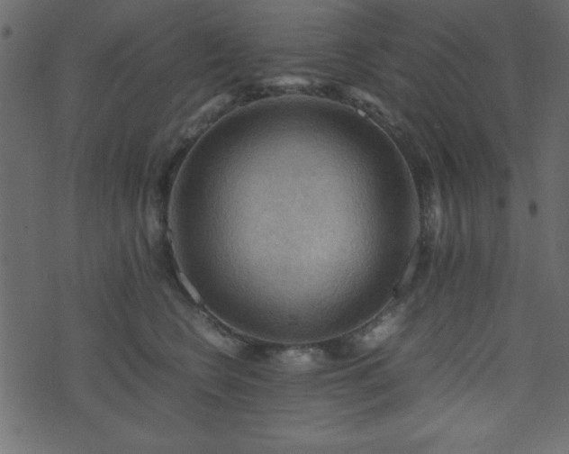 X0000071760566200606301133