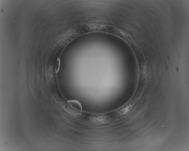 X0000071760567200606301133