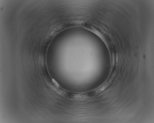 X0000071760568200606301133