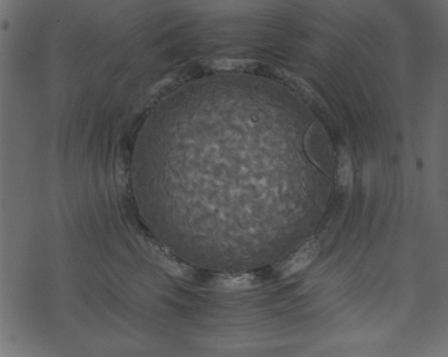 X0000071760569200606301133