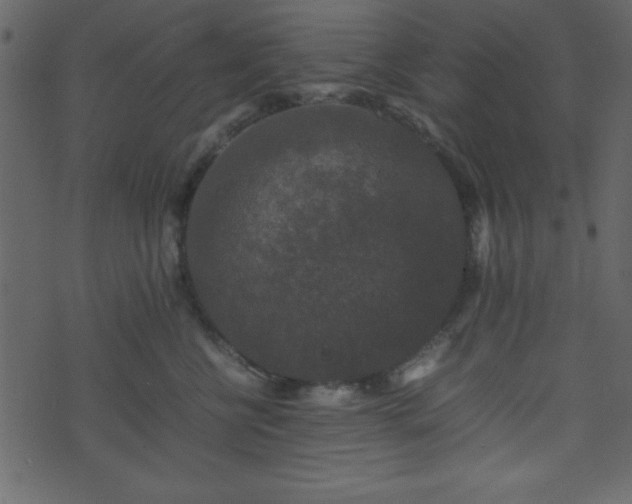 X0000071760570200606301133