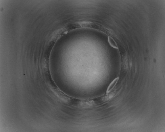 X0000071760571200606301133