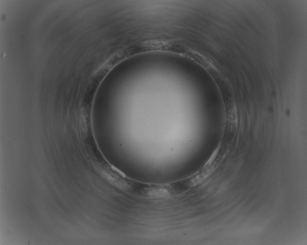 X0000071760572200606301133