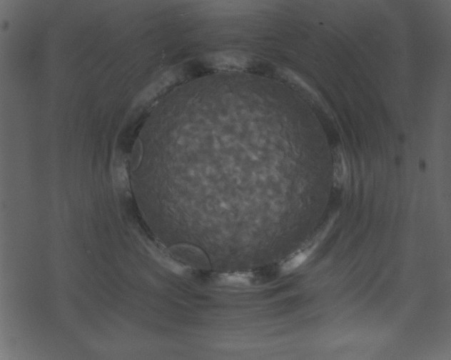 X0000071760573200606301133