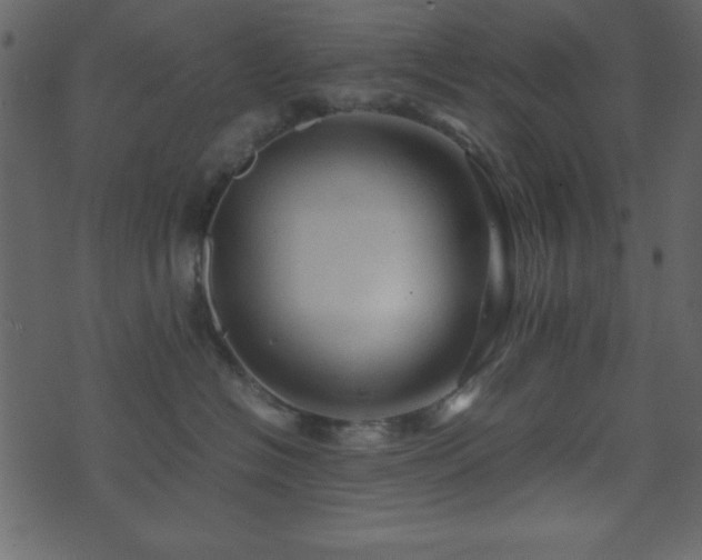 X0000071760574200606301133