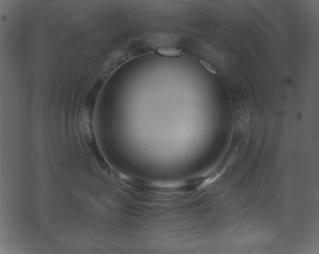 X0000071760575200606301133