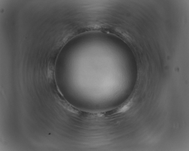 X0000071760576200606301133