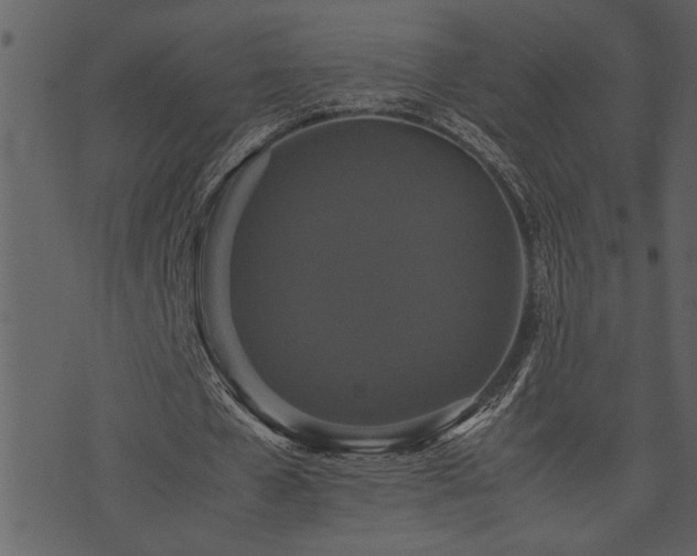 X0000071760577200606301132