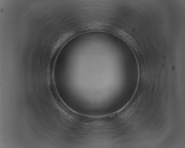 X0000071760578200606301132