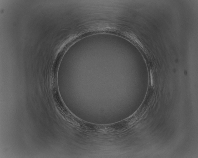 X0000071760579200606301132