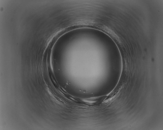 X0000071760580200606301132