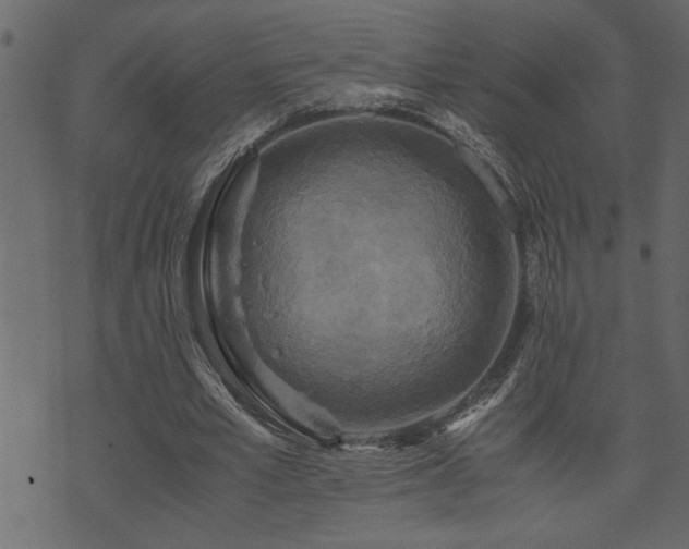 X0000071760581200606301132