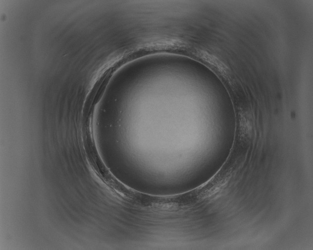 X0000071760582200606301132