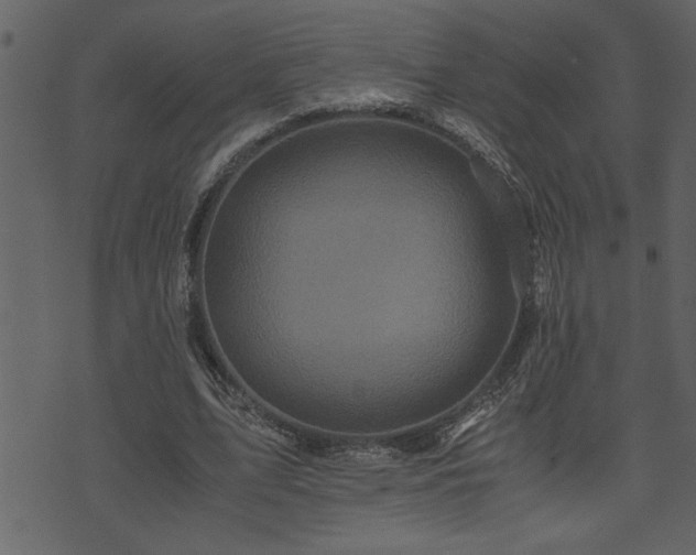 X0000071760583200606301132