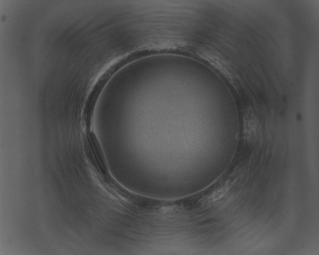 X0000071760584200606301132