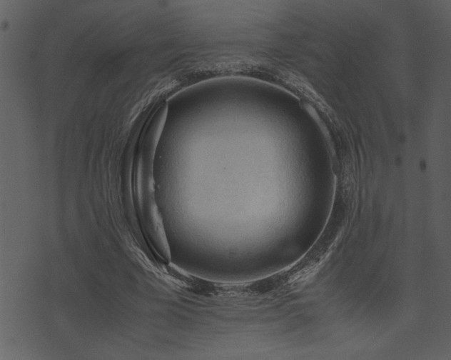 X0000071760585200606301132