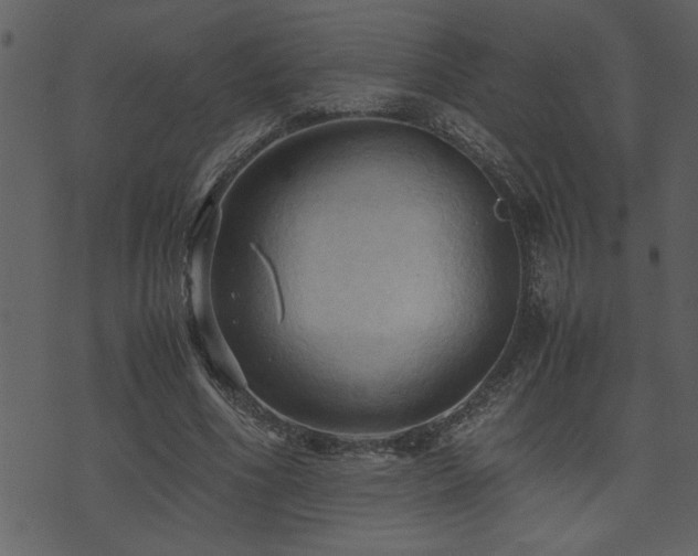 X0000071760586200606301132